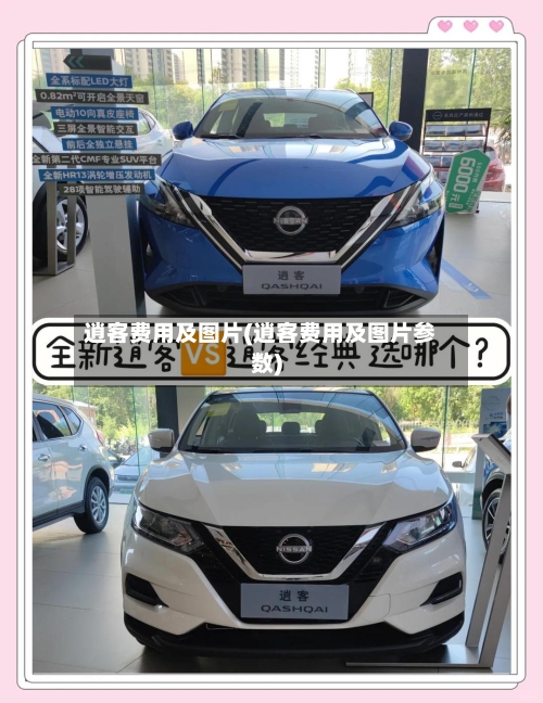 逍客费用及图片(逍客费用及图片参数)-第3张图片