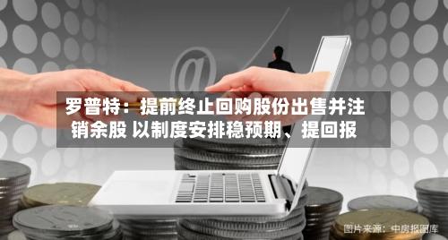 罗普特：提前终止回购股份出售并注销余股 以制度安排稳预期、提回报-第2张图片