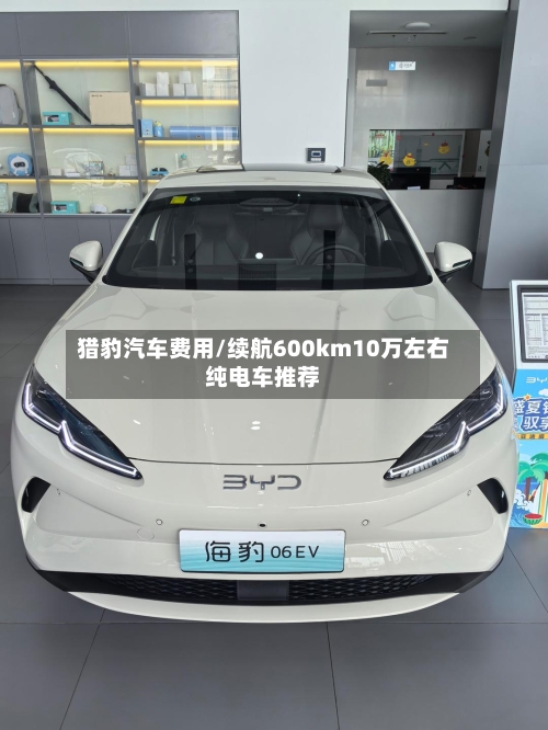 猎豹汽车费用/续航600km10万左右纯电车推荐
