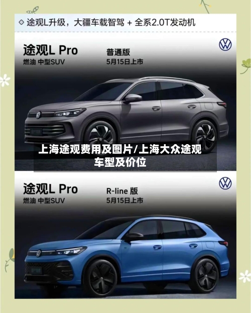 上海途观费用及图片/上海大众途观车型及价位-第2张图片