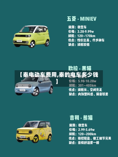 【秦电动车费用,秦的电车多少钱】-第2张图片