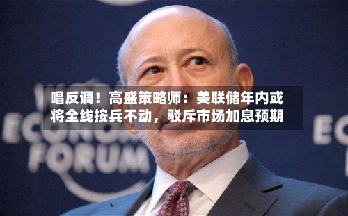 唱反调！高盛策略师：美联储年内或将全线按兵不动，驳斥市场加息预期-第2张图片