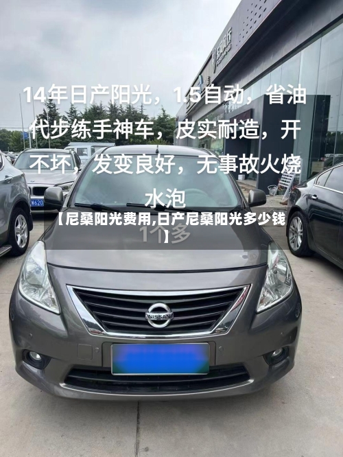 【尼桑阳光费用,日产尼桑阳光多少钱】-第2张图片