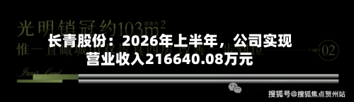 长青股份：2026年上半年	，公司实现营业收入216640.08万元-第2张图片