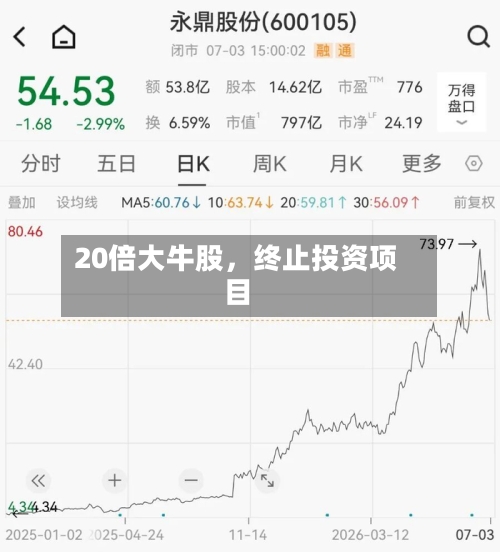 20倍大牛股，终止投资项目