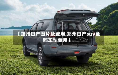 【郑州日产图片及费用,郑州日产suv全部车型费用】