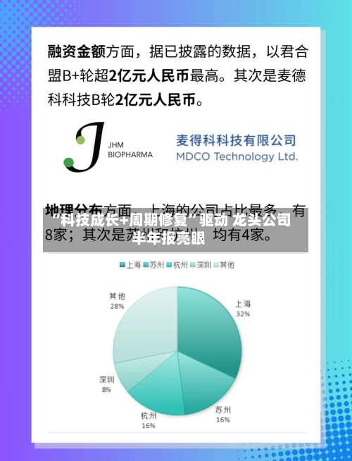 “科技成长+周期修复”驱动 龙头公司半年报亮眼-第2张图片