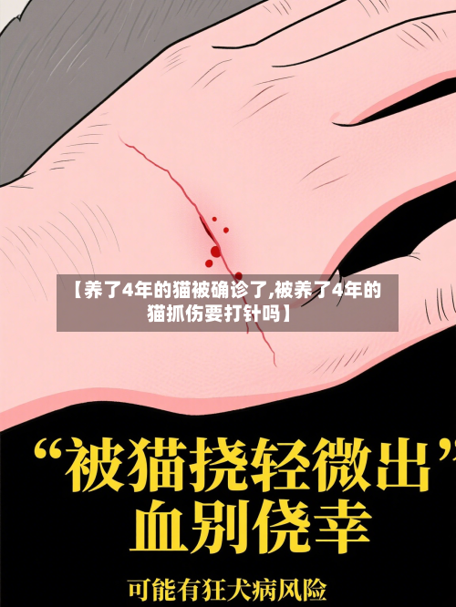 【养了4年的猫被确诊了,被养了4年的猫抓伤要打针吗】