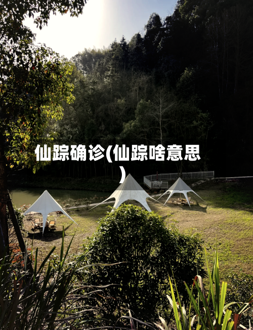 仙踪确诊(仙踪啥意思)-第3张图片