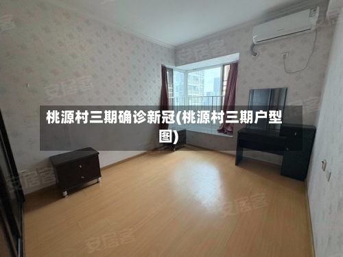 桃源村三期确诊新冠(桃源村三期户型图)-第2张图片