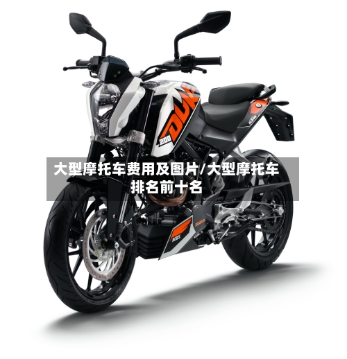 大型摩托车费用及图片/大型摩托车排名前十名-第2张图片