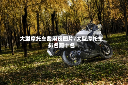 大型摩托车费用及图片/大型摩托车排名前十名-第3张图片