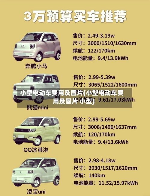 小型电动车费用及图片(小型电动车费用及图片 小型)-第2张图片