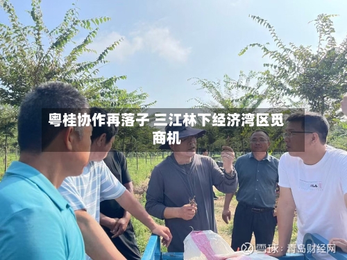 粤桂协作再落子 三江林下经济湾区觅商机-第3张图片