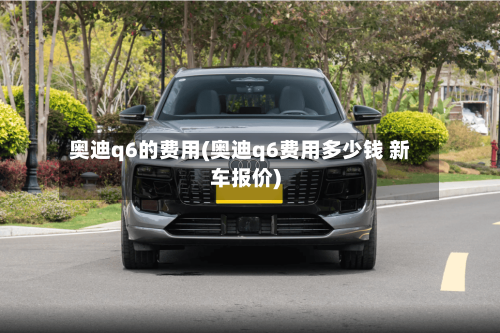 奥迪q6的费用(奥迪q6费用多少钱 新车报价)-第3张图片