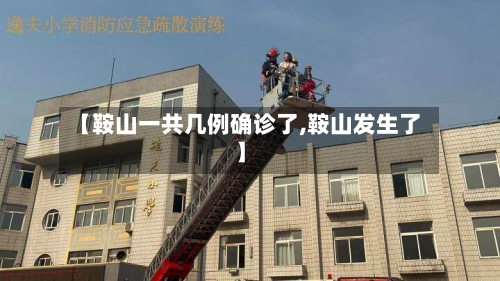 【鞍山一共几例确诊了,鞍山发生了】