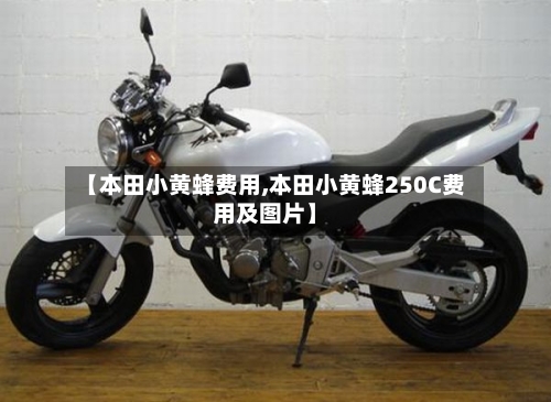 【本田小黄蜂费用,本田小黄蜂250C费用及图片】-第2张图片
