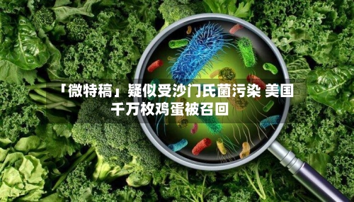 「微特稿」疑似受沙门氏菌污染 美国千万枚鸡蛋被召回-第2张图片