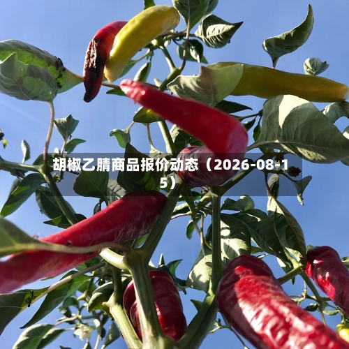 胡椒乙腈商品报价动态（2026-08-15）-第1张图片