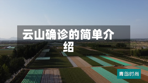 云山确诊的简单介绍