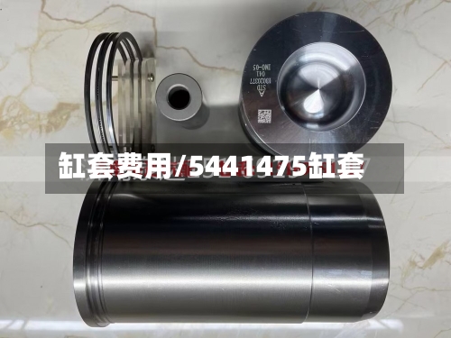 缸套费用/5441475缸套-第2张图片
