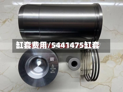 缸套费用/5441475缸套-第3张图片