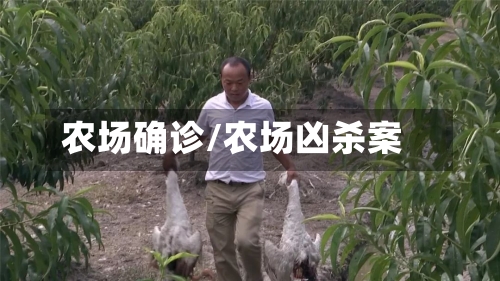 农场确诊/农场凶杀案-第3张图片