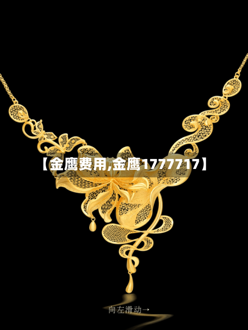【金鹰费用,金鹰1777717】-第2张图片