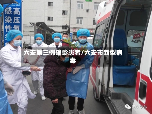 六安第三例确诊患者/六安市新型病毒-第2张图片