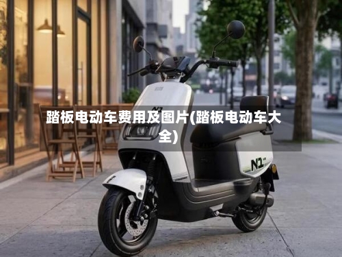 踏板电动车费用及图片(踏板电动车大全)-第3张图片