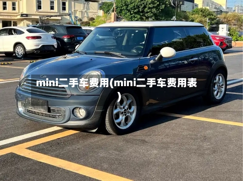 mini二手车费用(mini二手车费用表)-第2张图片