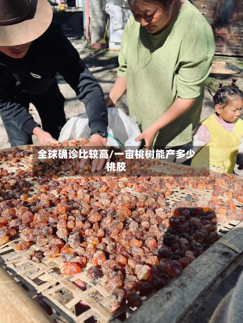 全球确诊比较高/一亩桃树能产多少桃胶-第2张图片
