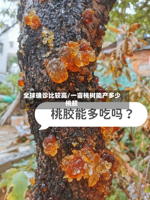 全球确诊比较高/一亩桃树能产多少桃胶-第3张图片