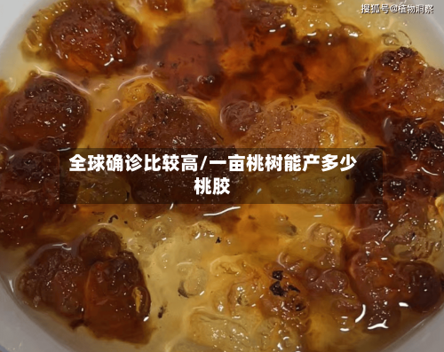 全球确诊比较高/一亩桃树能产多少桃胶