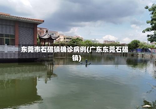 东莞市石碣镇确诊病例(广东东莞石碣镇)-第3张图片