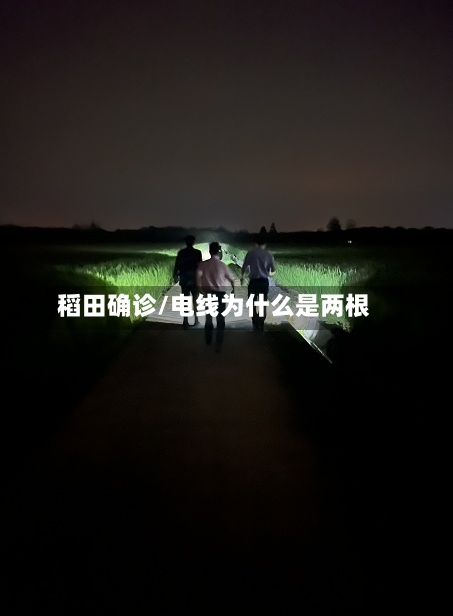 稻田确诊/电线为什么是两根