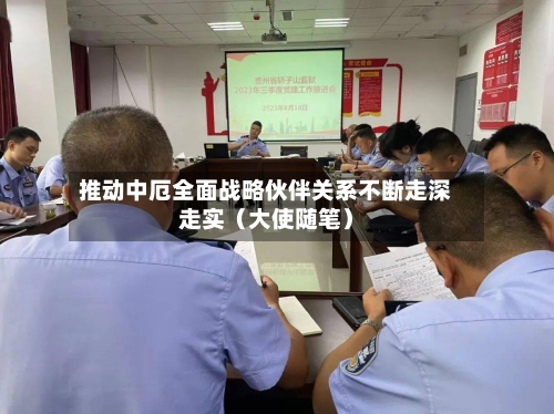 推动中厄全面战略伙伴关系不断走深走实(大使随笔)-第2张图片