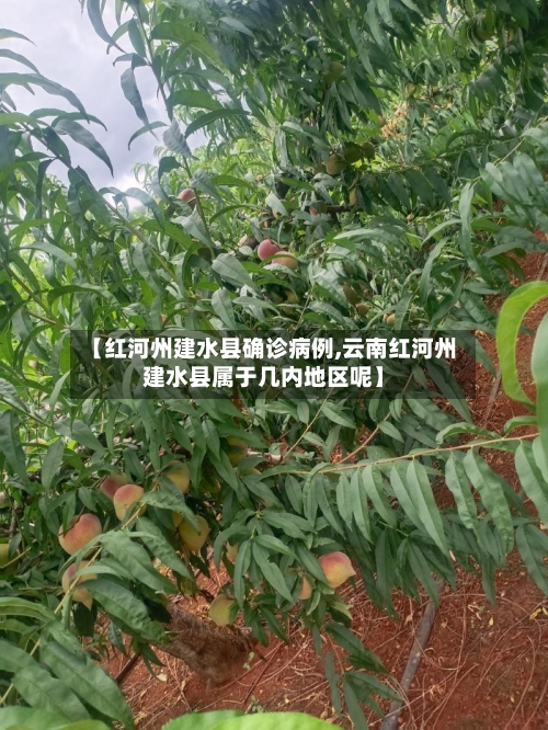 【红河州建水县确诊病例,云南红河州建水县属于几内地区呢】