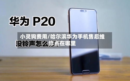 小灵狗费用/哈尔滨华为手机售后维修点在哪里-第2张图片