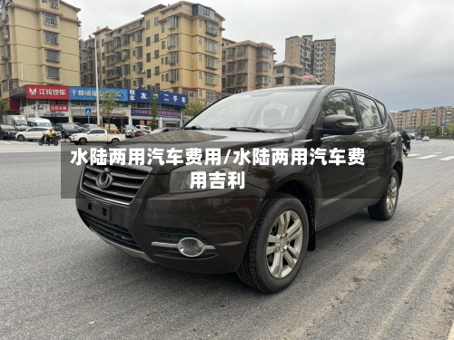 水陆两用汽车费用/水陆两用汽车费用吉利-第3张图片