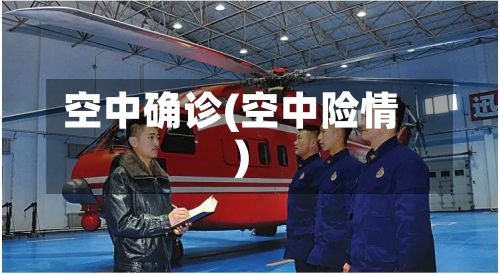 空中确诊(空中险情)-第3张图片