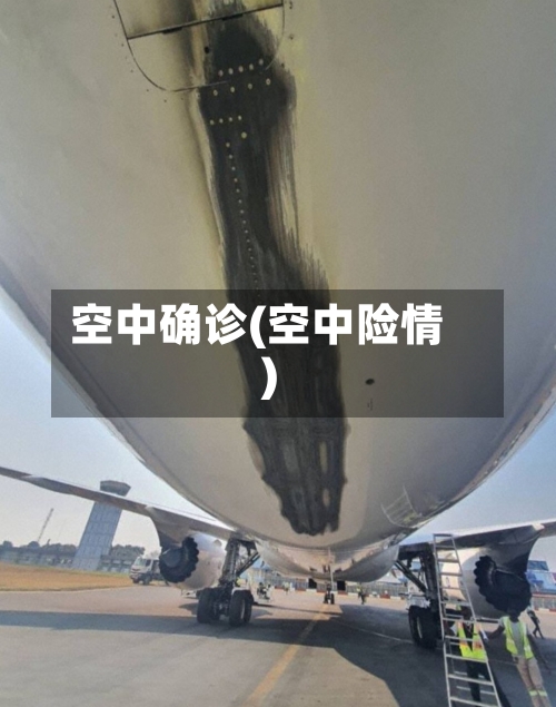 空中确诊(空中险情)