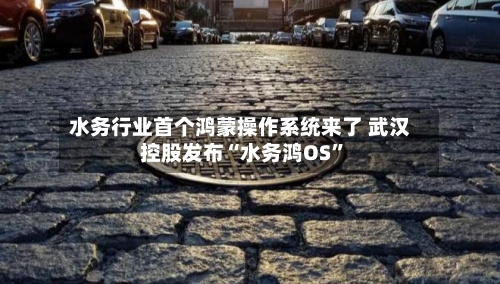 水务行业首个鸿蒙操作系统来了 武汉控股发布“水务鸿OS	”-第2张图片