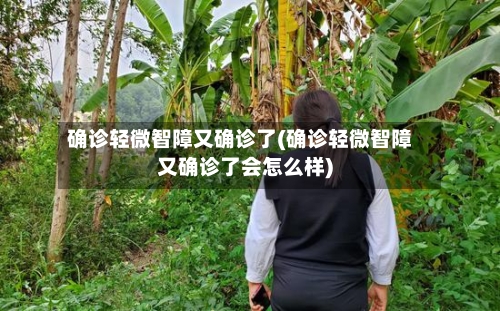 确诊轻微智障又确诊了(确诊轻微智障又确诊了会怎么样)-第2张图片