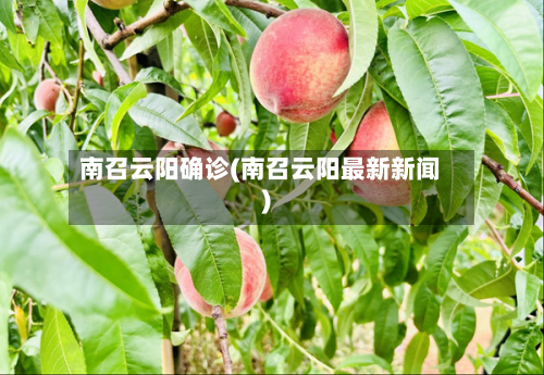南召云阳确诊(南召云阳最新新闻)-第2张图片
