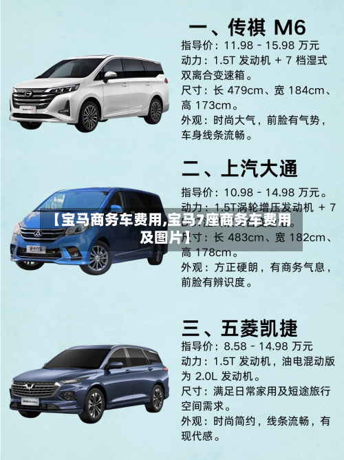 【宝马商务车费用,宝马7座商务车费用及图片】