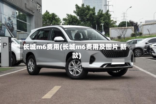 长城m6费用(长城m6费用及图片 新款)-第2张图片