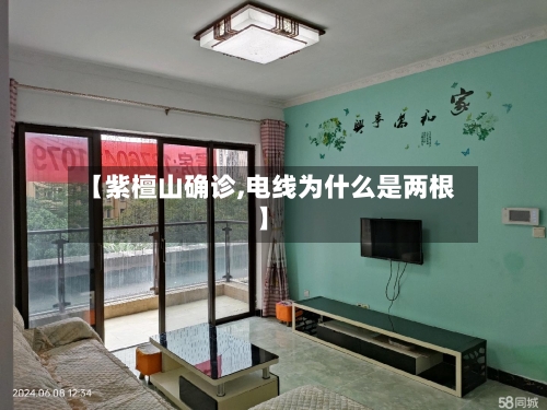 【紫檀山确诊,电线为什么是两根】-第3张图片