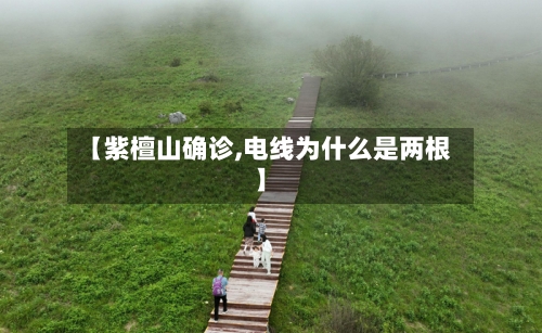【紫檀山确诊,电线为什么是两根】-第2张图片