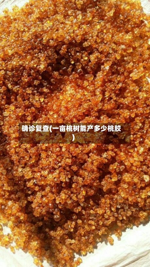 确诊复查(一亩桃树能产多少桃胶)-第2张图片